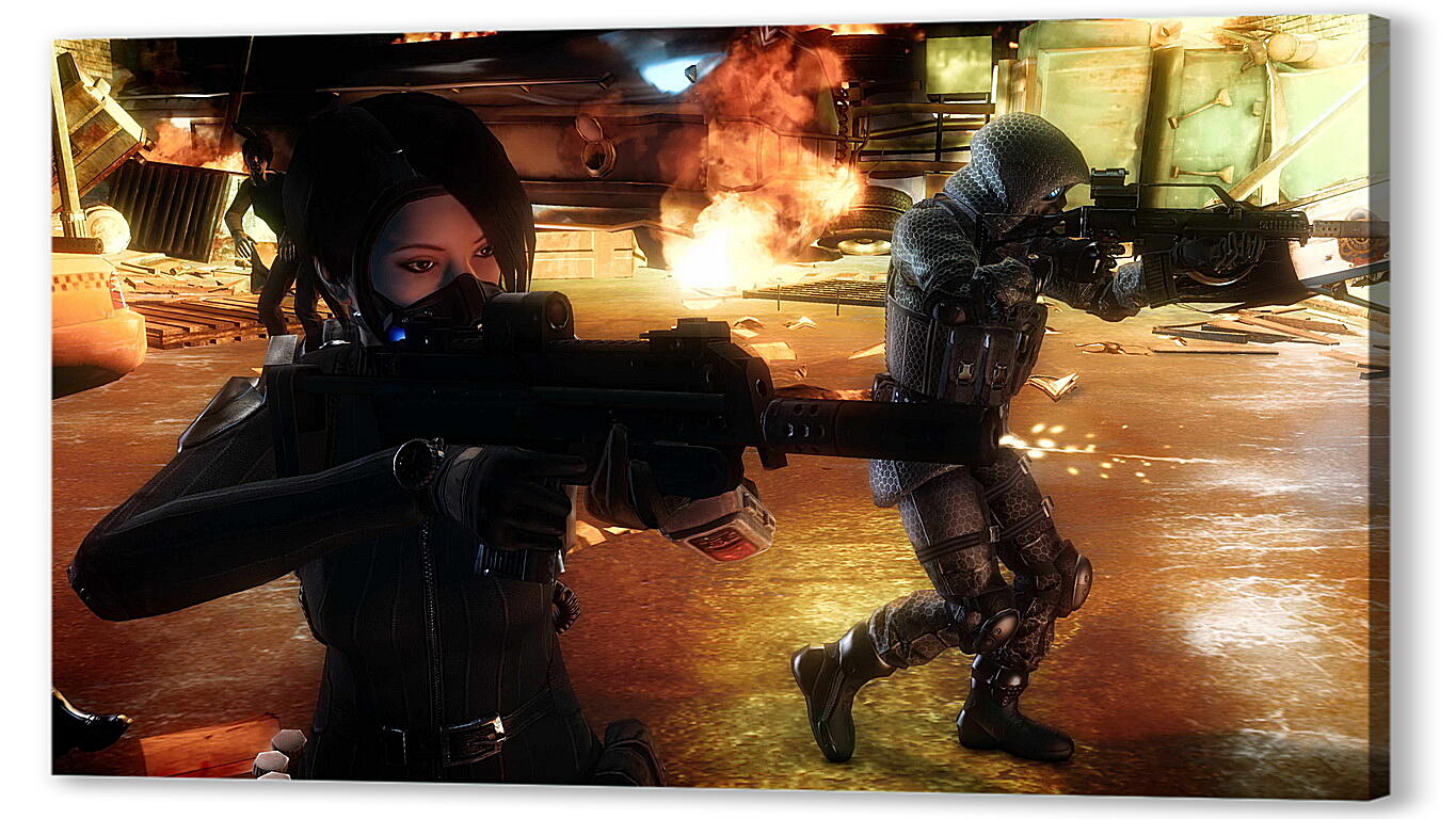 Постер Resident Evil: Operation Raccoon City
 артикул 27514