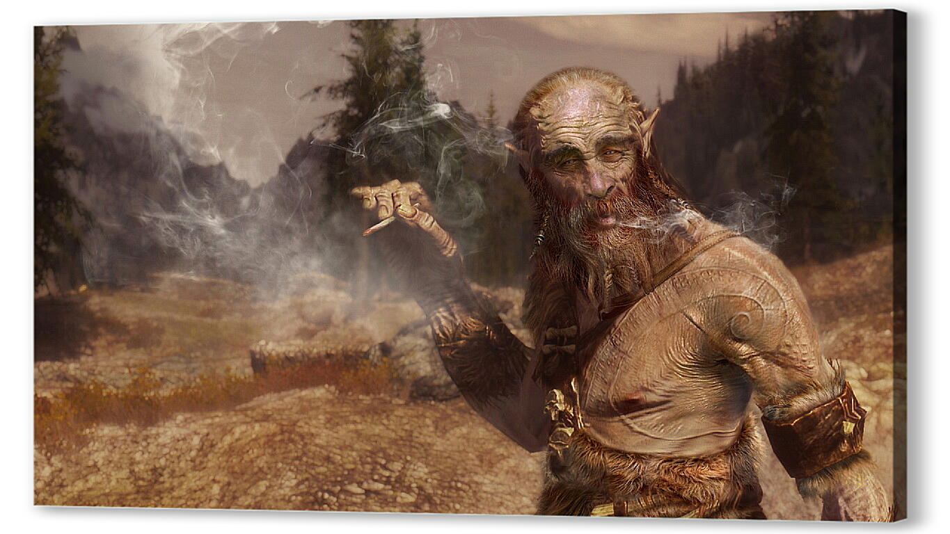 Постер The Elder Scrolls V: Skyrim
 артикул 27962