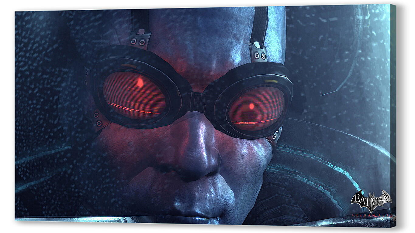 Постер Batman: Arkham City
 артикул 27965