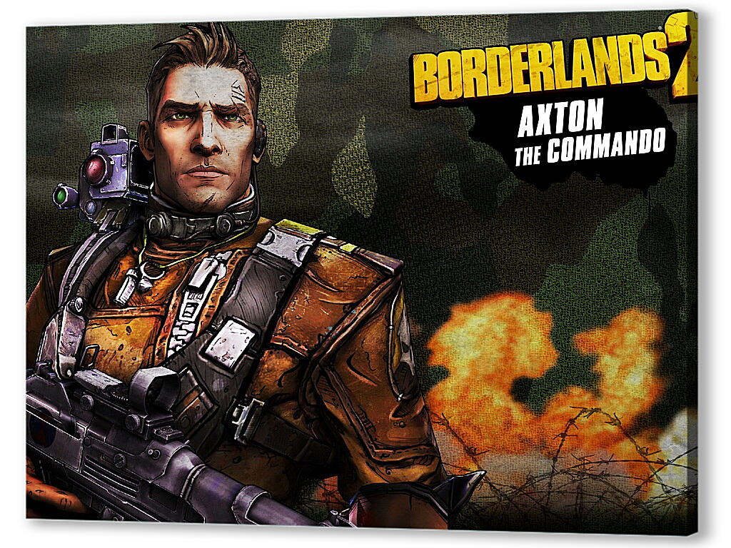 Постер Borderlands
 артикул 27976