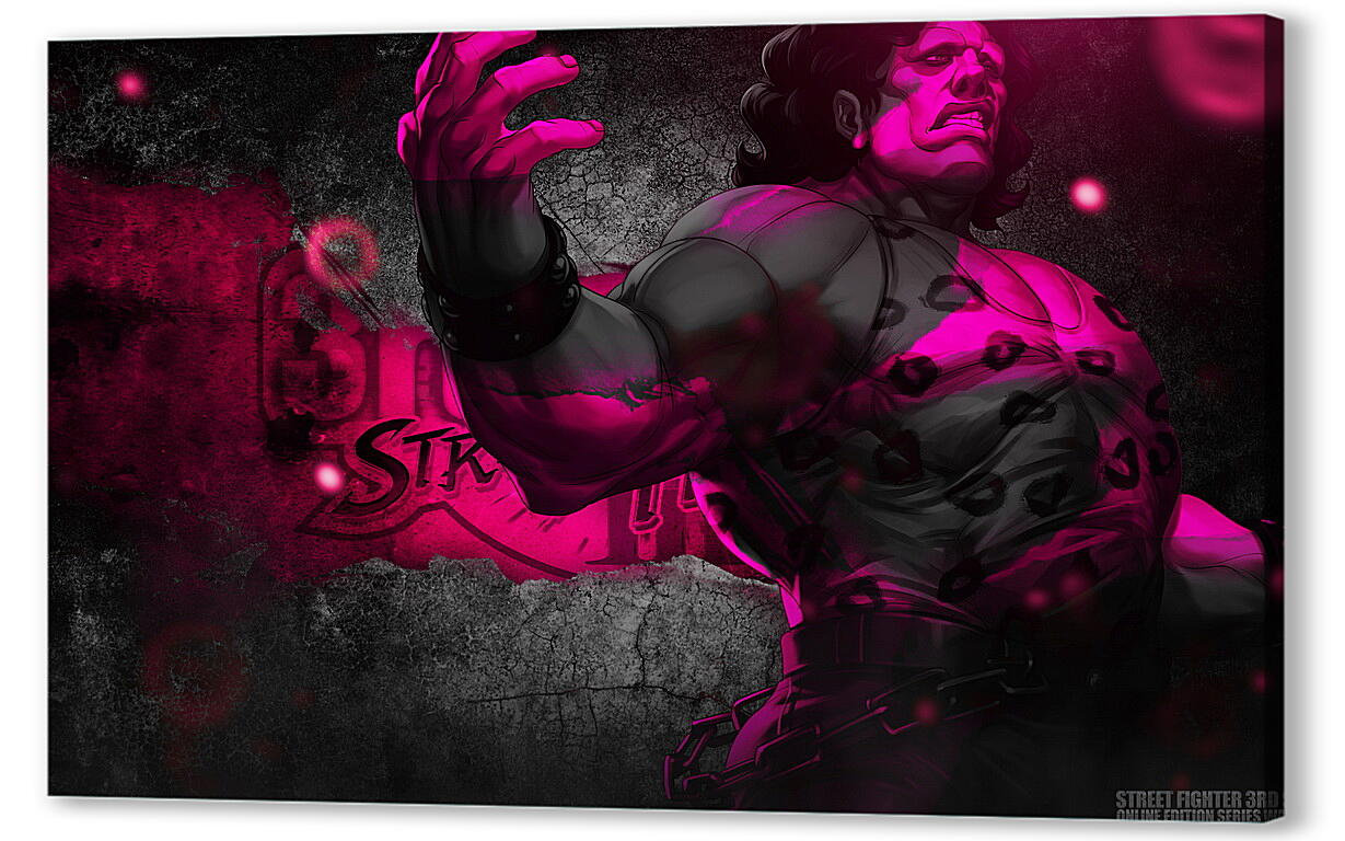 Постер Street Fighter
 артикул 28236