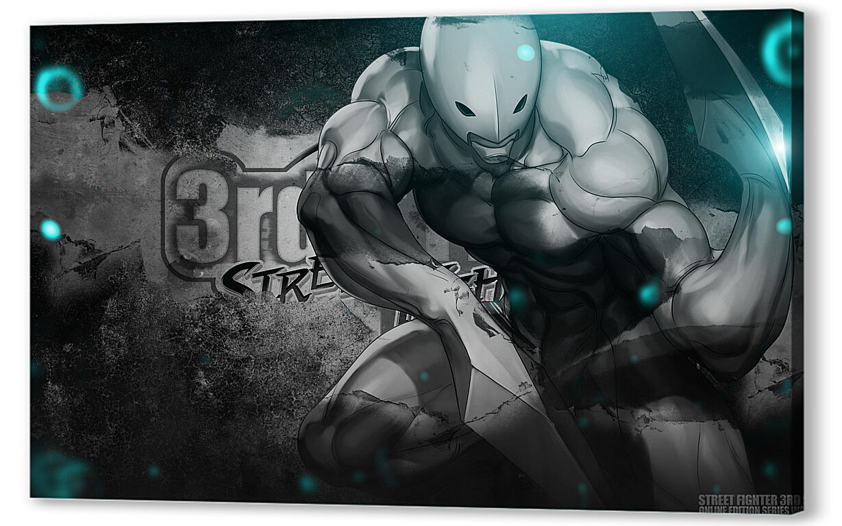 Постер Street Fighter
 артикул 28238