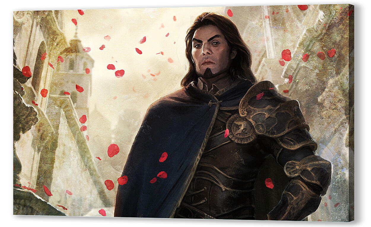 Постер Dragon Age: Origins
 артикул 28530