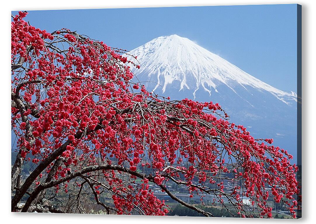 Постер (плакат) Священная гора Фудзияма. Япония. артикул 28595