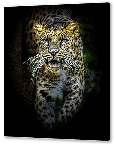 Постер (плакат) леопард артикул 30083