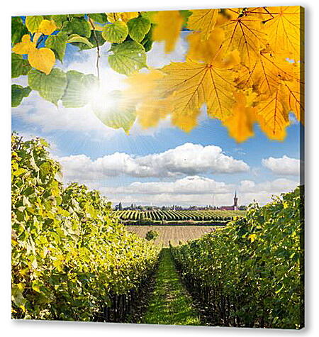 Постер (плакат) Виноградник
 артикул 31210