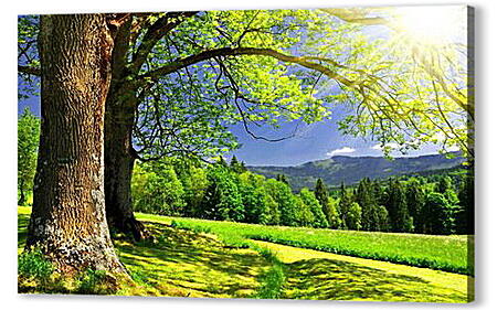 Постер Nature - Природа
 артикул 31403