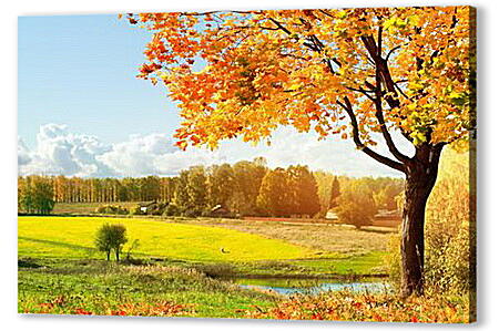 Постер (плакат) Autumn - Осень артикул 31436