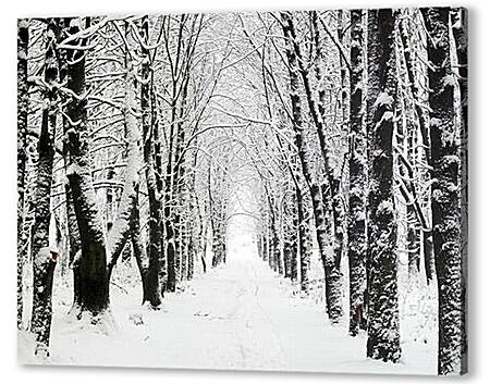 Постер Природа
 артикул 31893