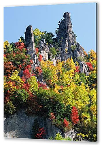 Постер Природа
 артикул 32059