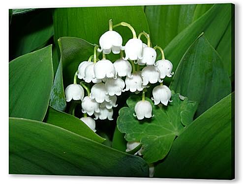 Постер lilies of the valley - Ландыши артикул 32372