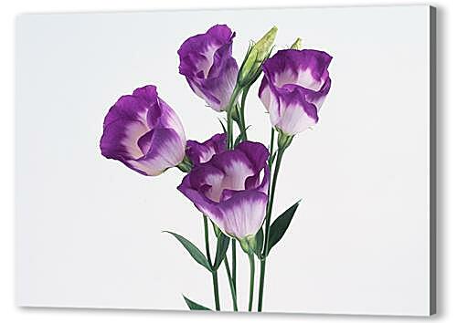 Постер (плакат) Фиолетовые цветочки артикул 32562