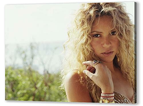 Постер Shakira - Шакира
 артикул 33377