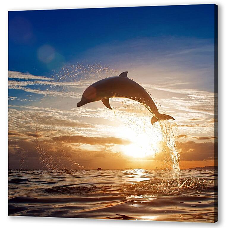 Прыгающие дельфины в море