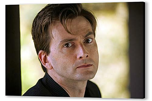 Постер David Tennant - Дэвид Теннант
 артикул 33474