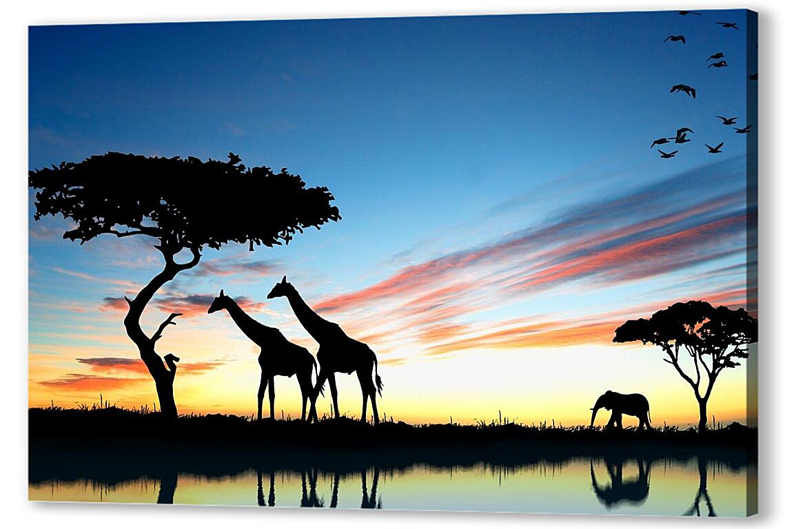 Постер (плакат) Жирафы и слон. Закат в африке артикул 3387