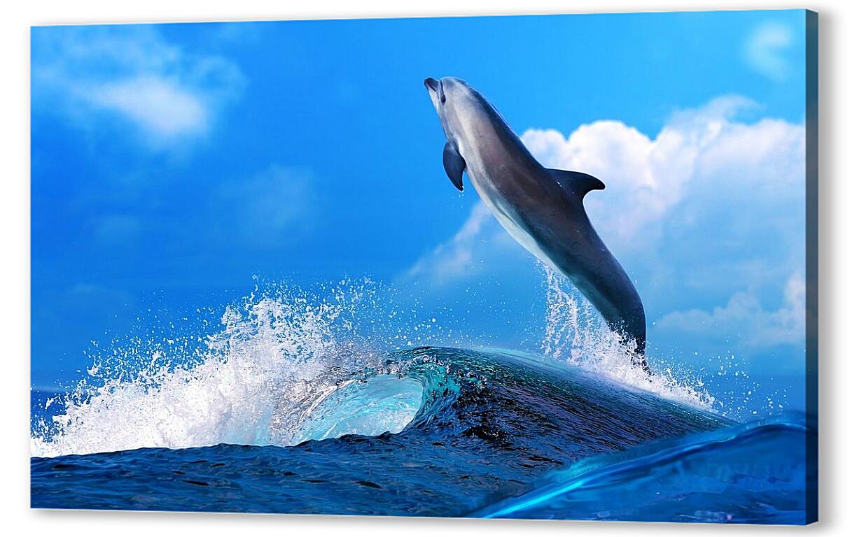 Постер (плакат) Дельфин артикул 3400