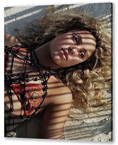 Постер Shakira - Шакира
 артикул 34229