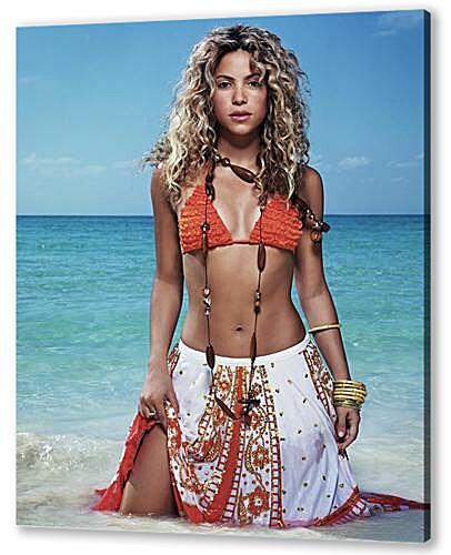 Постер (плакат) Shakira - Шакира
 артикул 34231