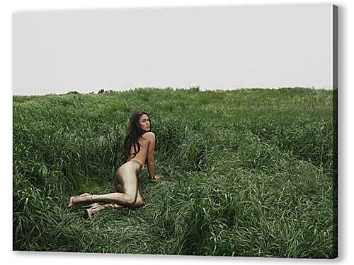 Постер Megan Fox - Меган Фокс
 артикул 34289
