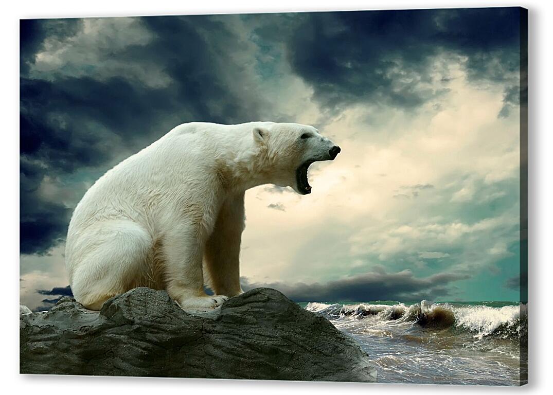 Постер (плакат) Белый медведь артикул 3431