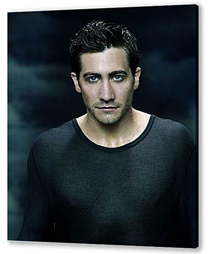 Постер Jake Gyllenhaa - Джейк Гилленхаал
 артикул 34390