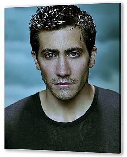Постер Jake Gyllenhaa - Джейк Гилленхаал
 артикул 34391