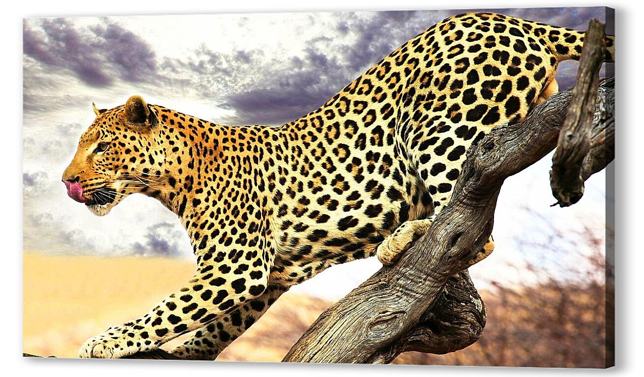 Постер (плакат) Леопард артикул 3461