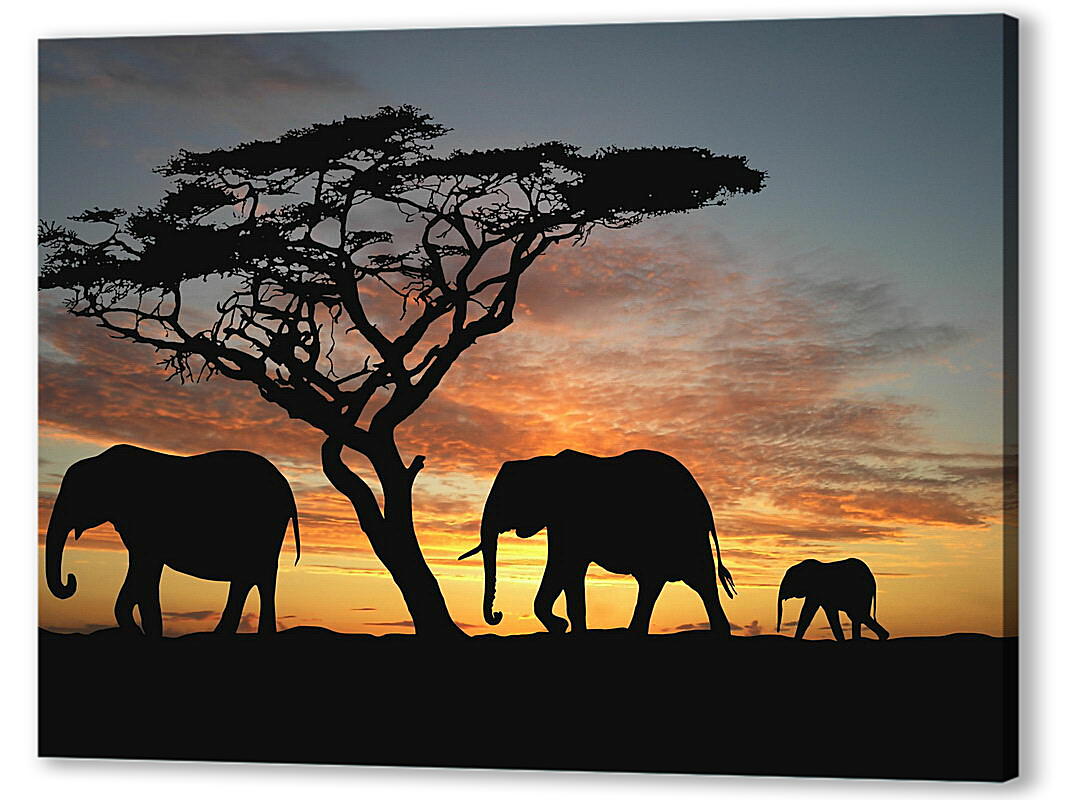 Постер (плакат) Семья слонов на закате
 артикул 35249