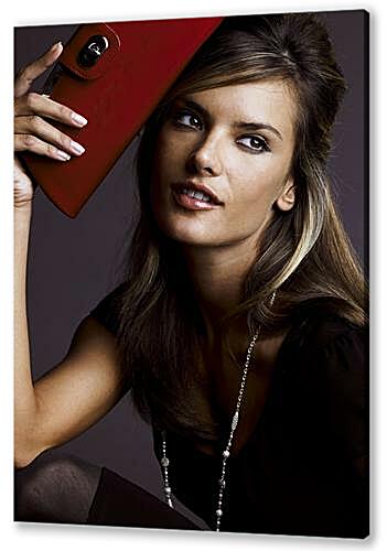 Постер Alessandra Ambrosio - Алессандра Амбросио
 артикул 35400