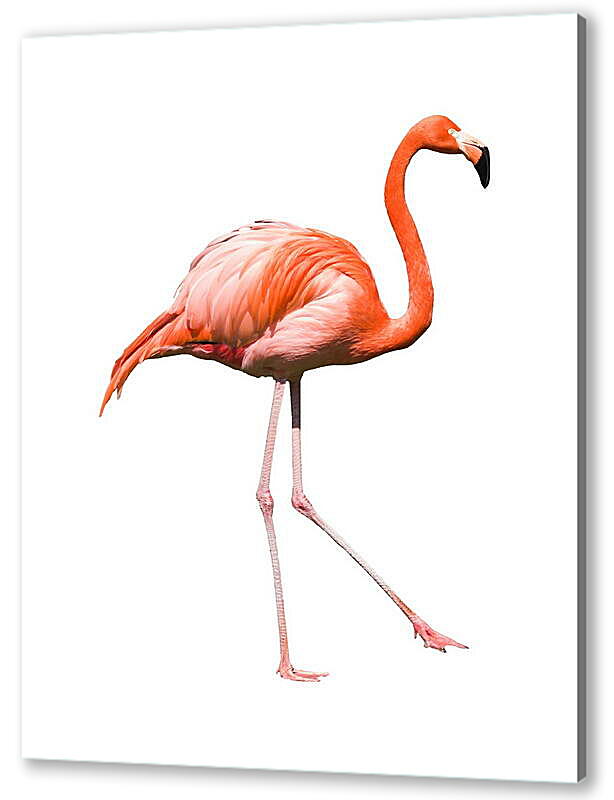 Постер (плакат) Фламинго артикул 38310