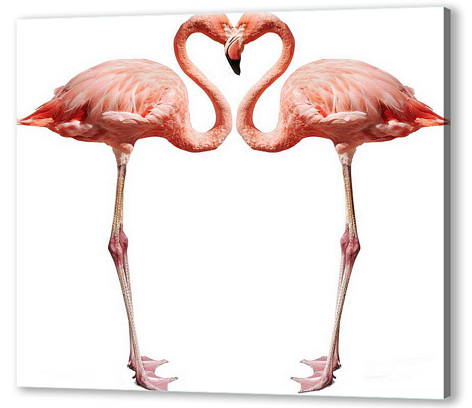 Постер (плакат) Сердце фламинго артикул 38311