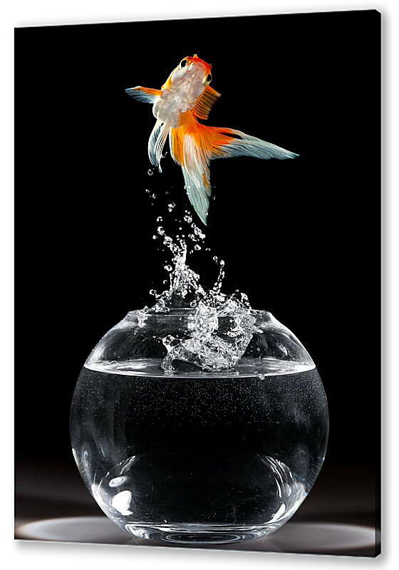 Постер (плакат) Танец рыбки
 артикул 38405