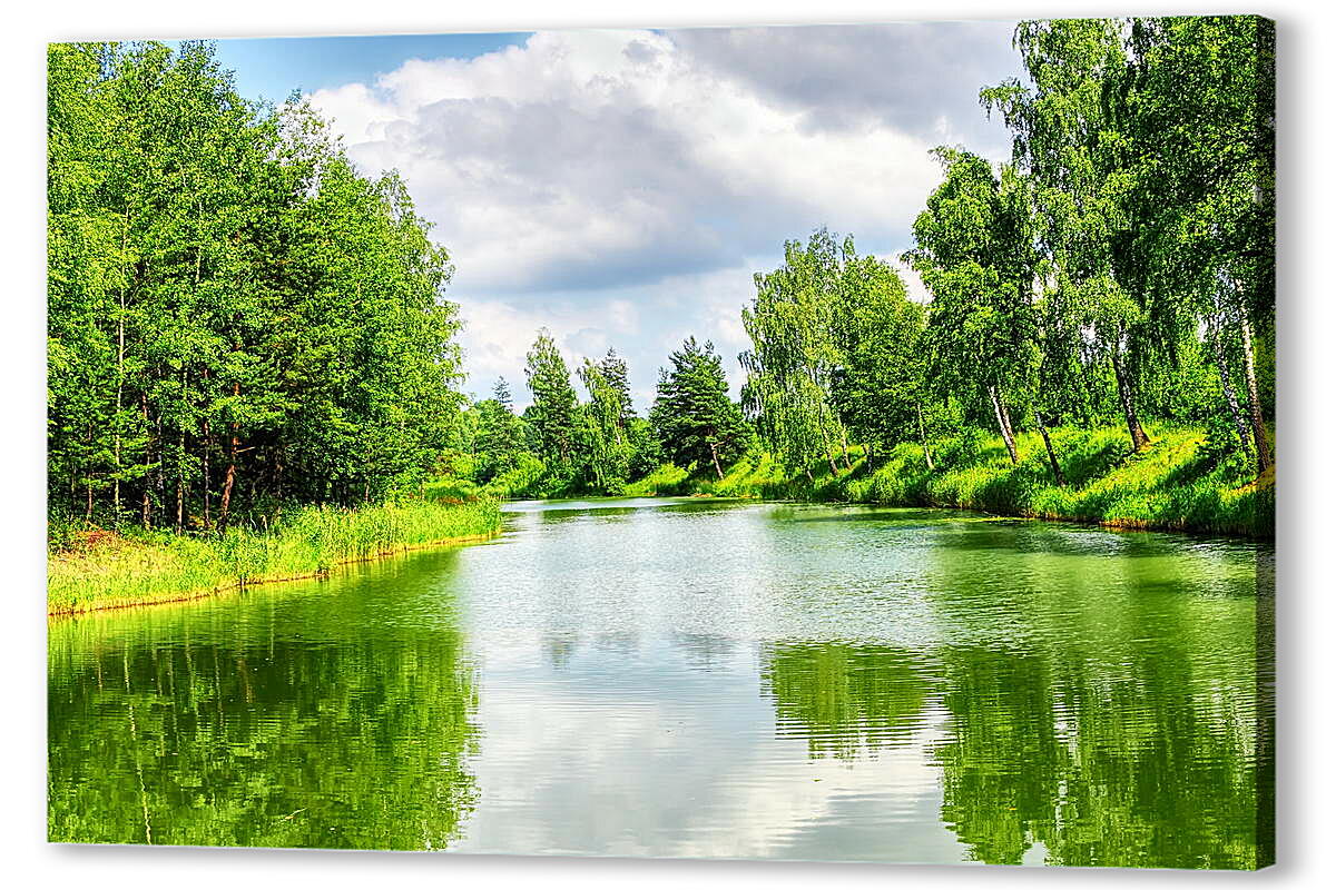 Реки на стену. Река Карижа. Фотообои река в лесу. Фотообои озера и реки. Фотообои на стену Лесное озеро.