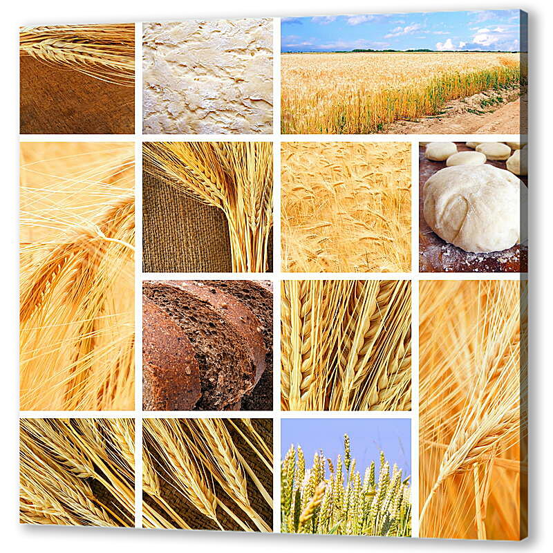 Постер (плакат) Коллаж пшеница и хлеб артикул 38540