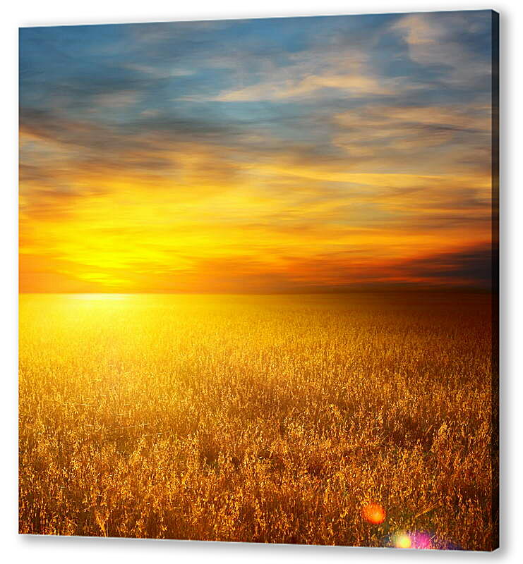 Постер (плакат) Закат на пшеничном поле
 артикул 38563