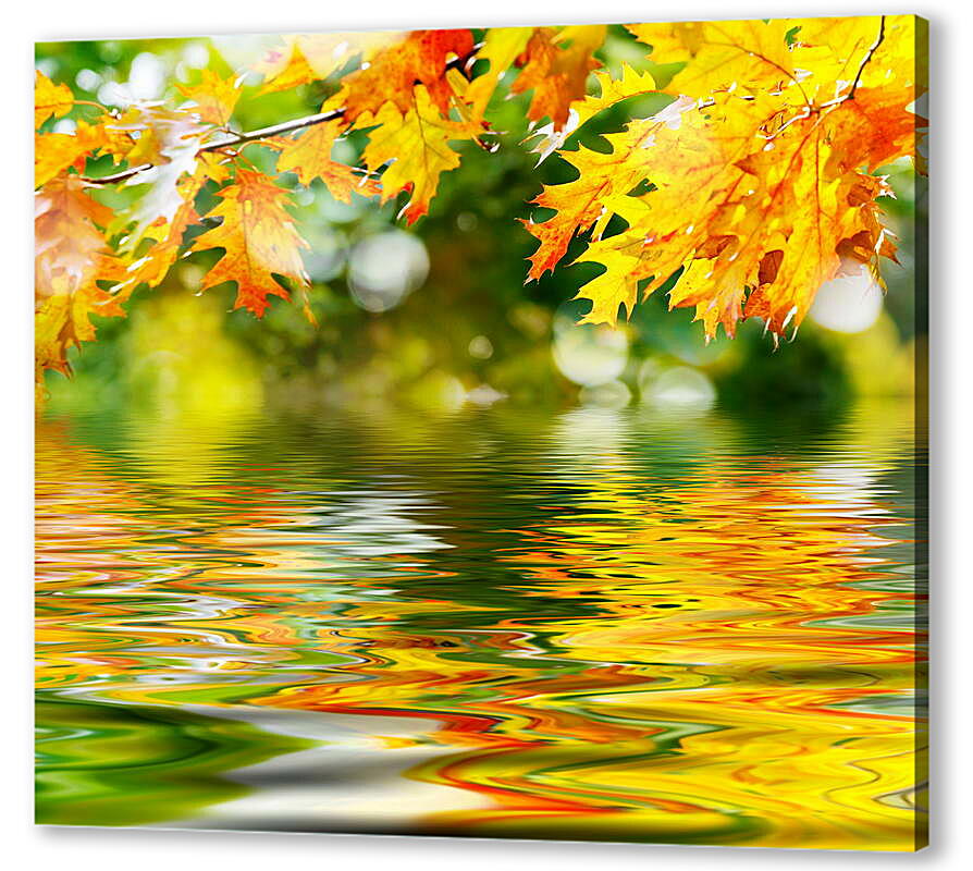 Постер (плакат) Осенние листья отражаются в воде
 артикул 38607