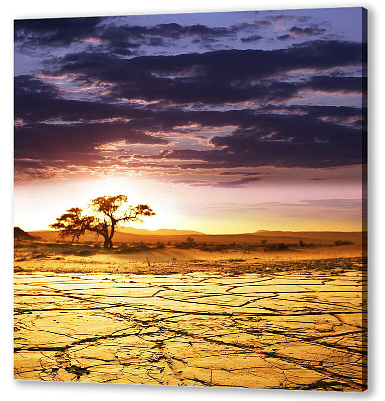 Постер (плакат) Фиолетовое небо в пустыне
 артикул 38628