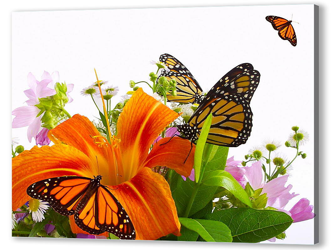 Постер (плакат) Бабочки на цветке
 артикул 38644