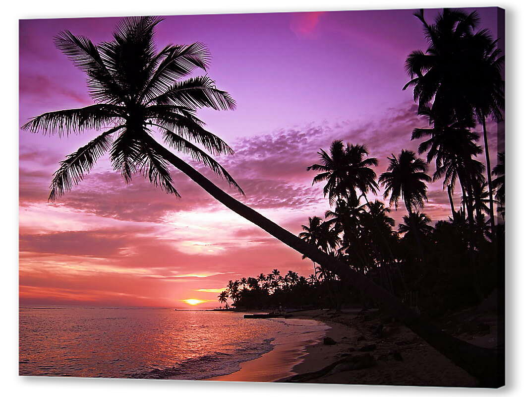 Постер (плакат) Пальмы в фиолетовом закате артикул 38830