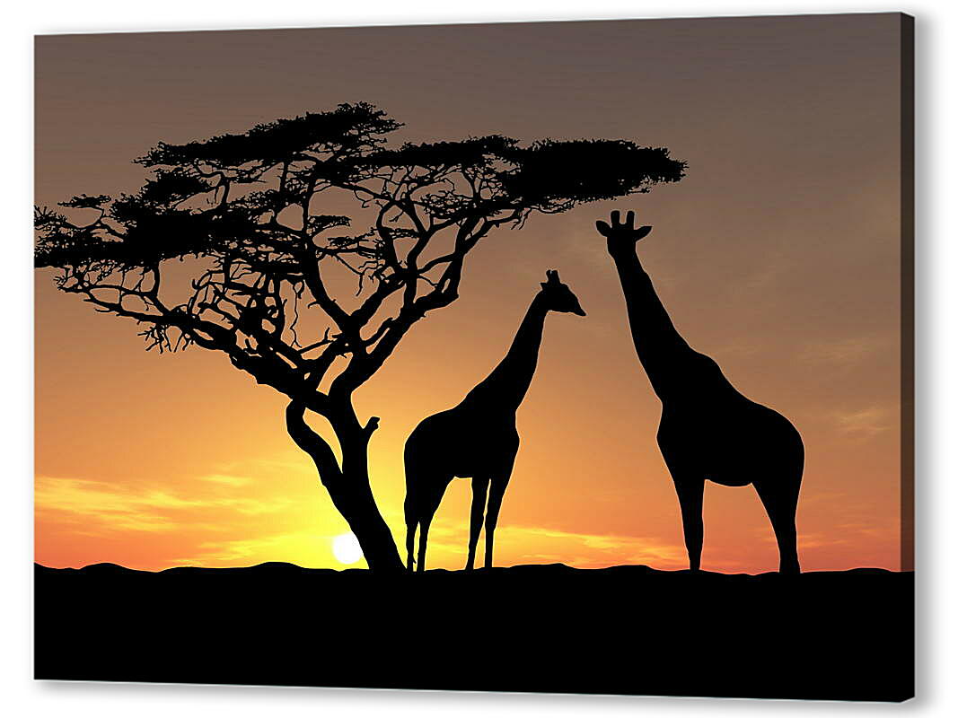 Постер (плакат) Жирафы в закате дня артикул 38841