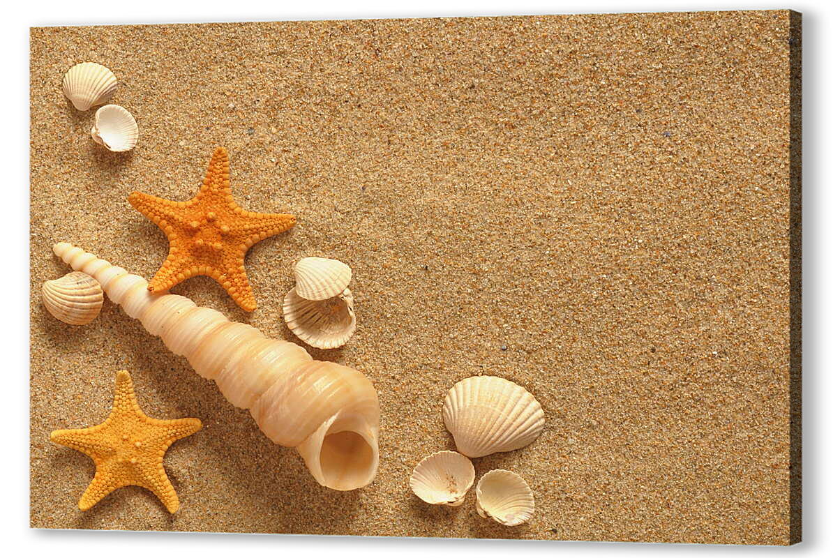 Постер (плакат) Ракушки и звезды на песке
 артикул 39045