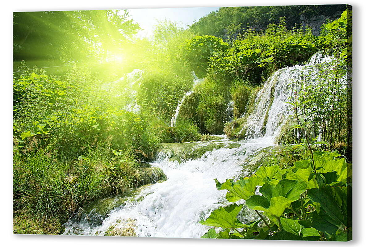 Постер (плакат) Водопад в лесу под солнцем артикул 39145