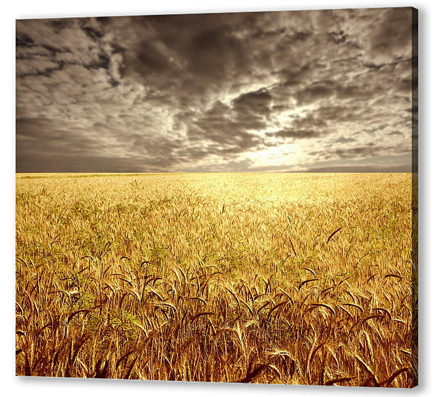 Постер (плакат) Пшеничное поле
 артикул 39154