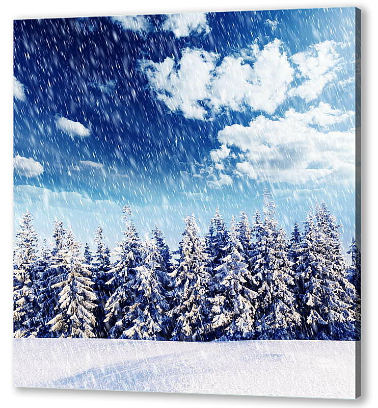 Постер (плакат) Ряд снежных елей и снегопад
 артикул 39186