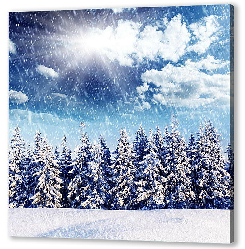 Постер (плакат) Ряд снежных елей снегопад и яркое солнце
 артикул 39187