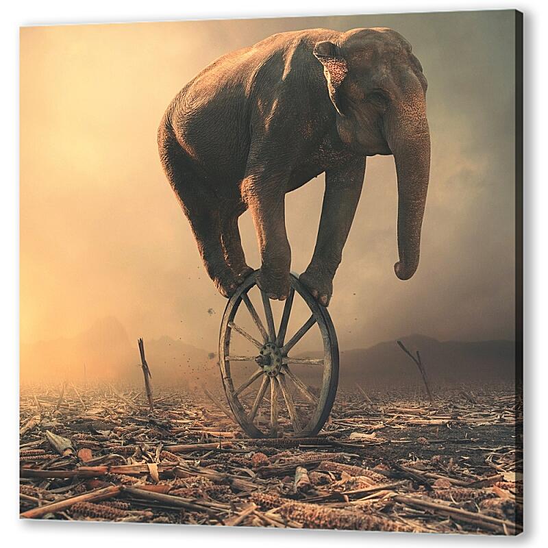 Постер (плакат) Слон на колесе артикул 39690