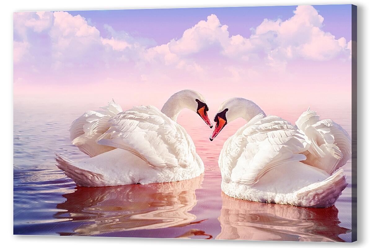 Постер (плакат) Лебеди на воде артикул 39950