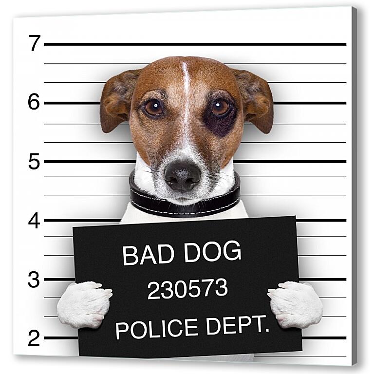 Постер (плакат) Собака в полицейском участке артикул 4274