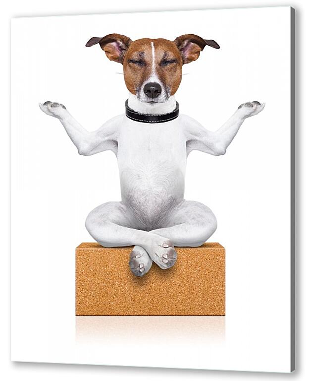 Постер (плакат) Собака медитирует артикул 4316